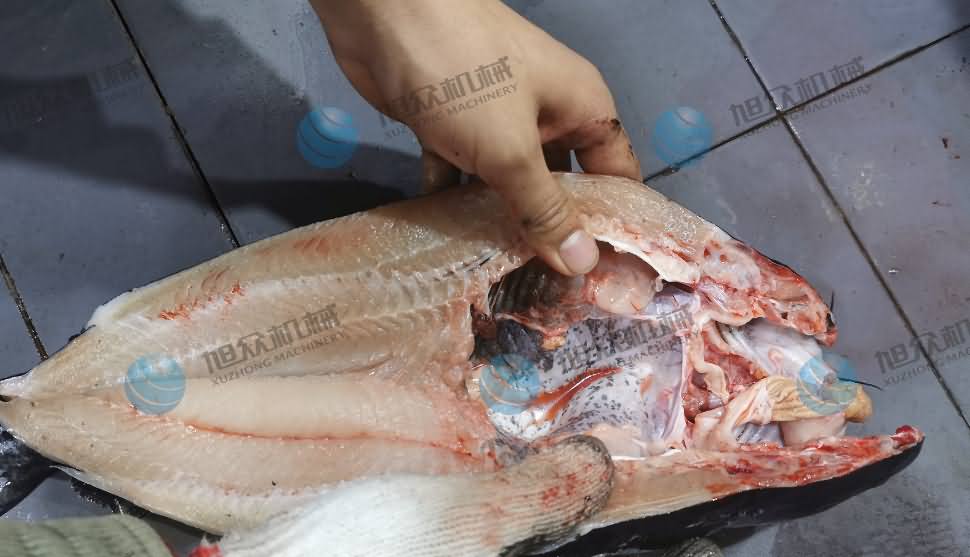 殺魚機(jī)，商用殺魚機(jī)，全自動殺魚機(jī)，旭眾殺魚機(jī)，殺魚機(jī)哪家好