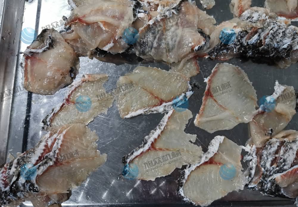 魚片機，片魚片機，片魚機，斜切魚片機，全自動魚片機
