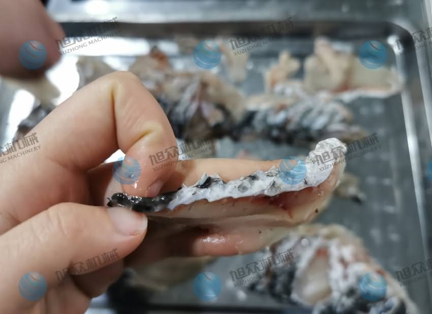 魚片機，片魚片機，片魚機，斜切魚片機，全自動魚片機