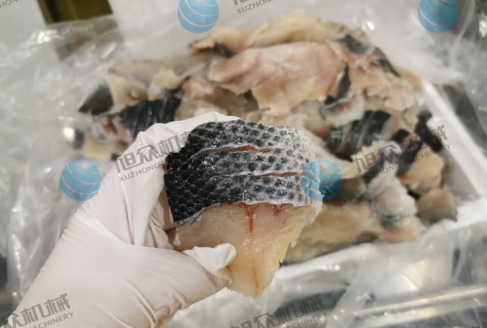 魚片機，片魚片機，全自動魚片機，商用片魚片機器，切魚片機