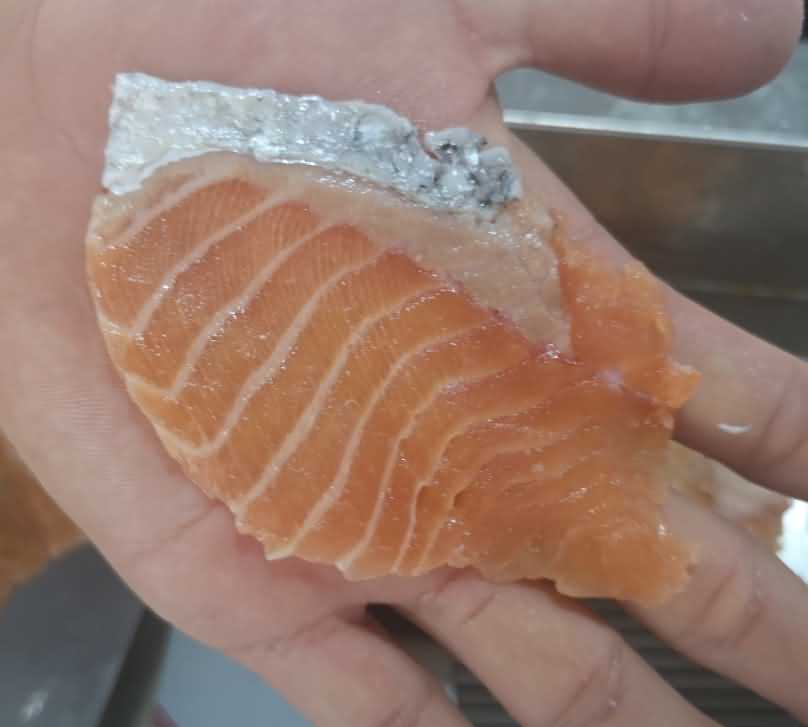 魚片機，自動切魚片機，旭眾魚片機，多功能切魚片機，魚片機多少錢