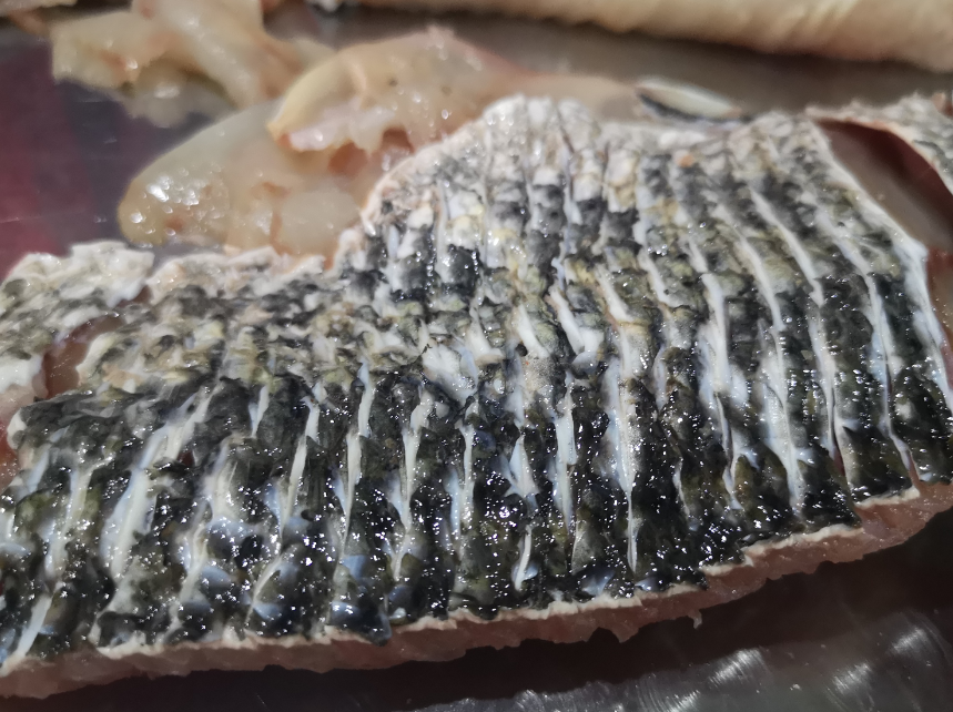 切魚片機(jī)，自動(dòng)切魚片機(jī)，片魚片機(jī)器，魚片機(jī)廠家，切魚片機(jī)多少錢
