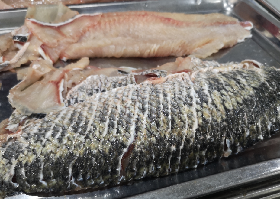 切魚片機(jī)，自動(dòng)切魚片機(jī)，片魚片機(jī)器，魚片機(jī)廠家，切魚片機(jī)多少錢