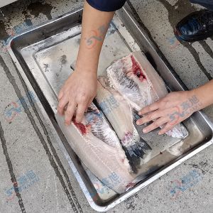 全自動(dòng)切魚片，去魚骨機(jī)
