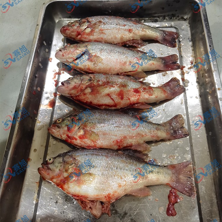 殺魚(yú)機(jī).jpg