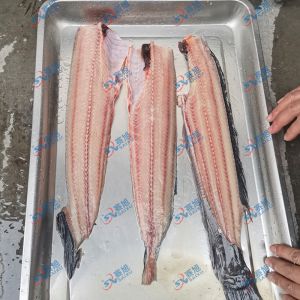 現(xiàn)場(chǎng)試機(jī)鯰魚，三枚開片去魚骨機(jī)